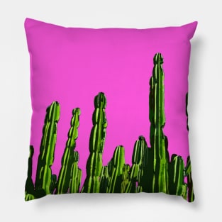 Cactos de Barragán Pillow