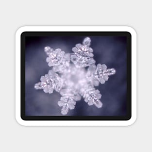 Snow flake Magnet