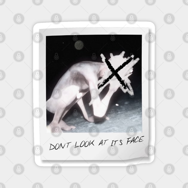 SCP-096 Photo "Don't Look At It's Face" Magnet by Toad King Studios