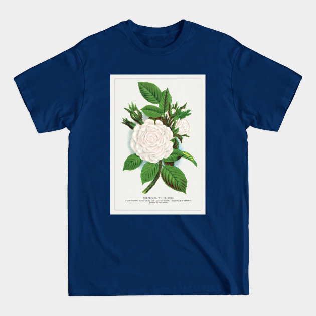 Disover Rose, Perpetual White Moss lithograph (1900) - Vintage Rose - T-Shirt