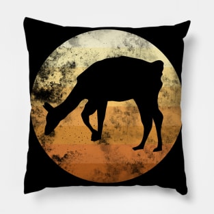 Alpaca Sunrise Pillow
