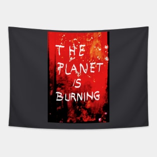 The Planet Tapestry
