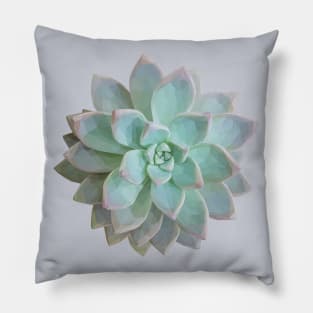 Low Poly Green Succulent Pillow