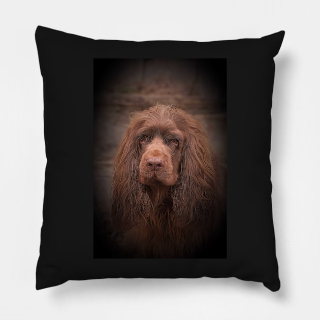 Portrait of a Sussex Spaniel Pillow by SMiddlebrook