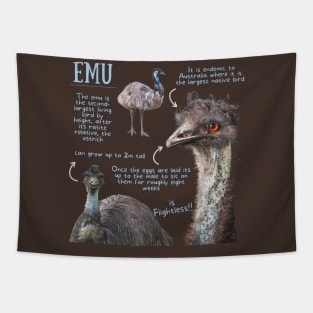 Animal Facts- Emu Tapestry