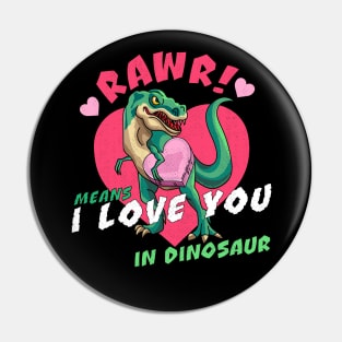 Rawr Means I Love You In Dinosaur Valentines Day Dinosaur Pin