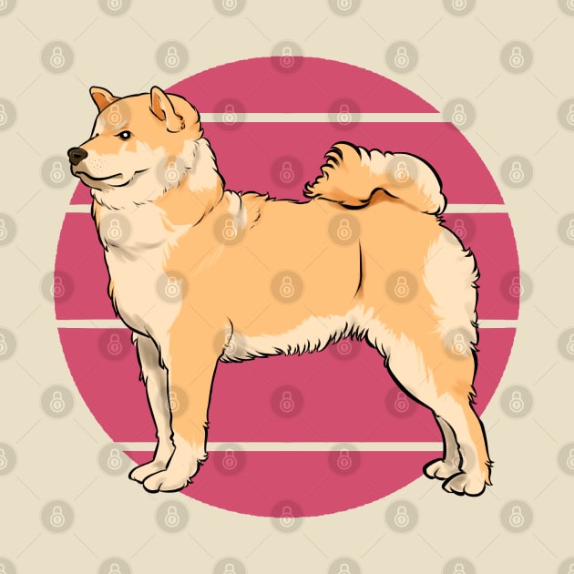 Akita Inu by frippucino