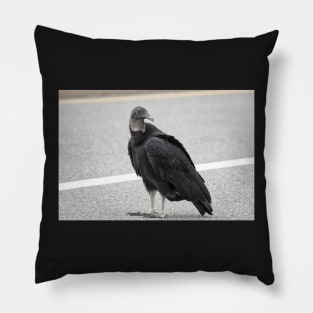 American black vulture Pillow