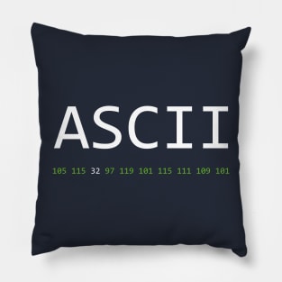 ASCII is awesome - Computer Programming Pillow