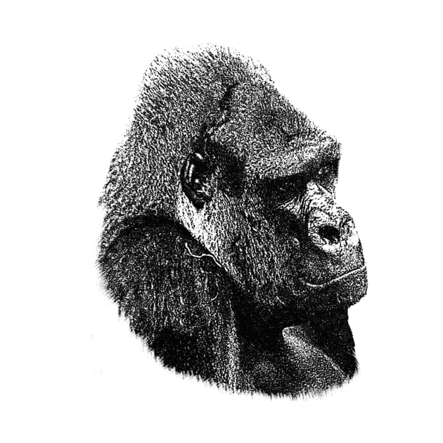 Gorilla portrait by Guardi