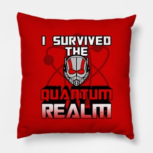 Superhero Sci-fi Movie I Survived Quantum Physics Funny Meme Pillow