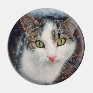 Winter season cat portrait Pin