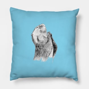 Otter Sketch Pillow