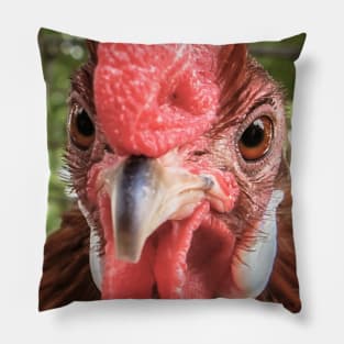 Rooster Photo Pillow