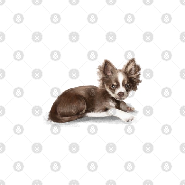 Chihuahua by Elspeth Rose Design