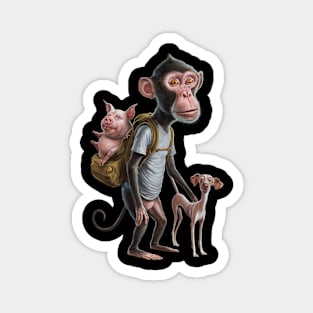 Monkey Stands Upright like a Human Magnet