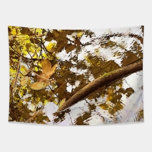 Autumn leaves on water, water, autumn, fall, leaves, summer, beach, stream, tree, exotic, tan Tapestry