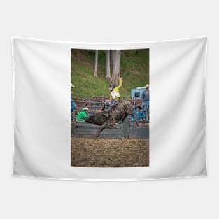 RODEOS, HORSES, COWBOYS Tapestry