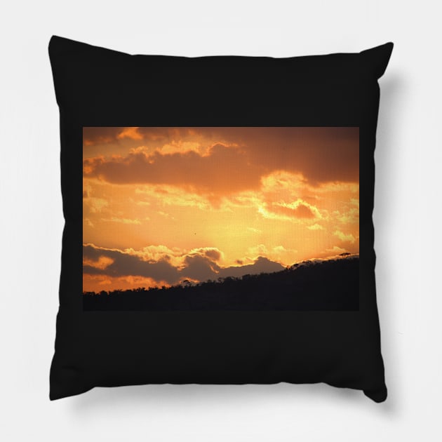 Dry Season Sunset, Serengeti National Park, Tanzania Pillow by Carole-Anne