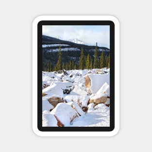 Autumn in The Rockies: The First Snow: Jasper National Park Magnet