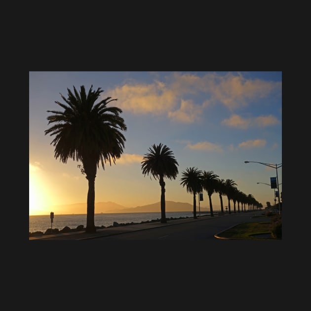 Treasure Island Sunset Palm Trees San Francisco CA by WayneOxfordPh