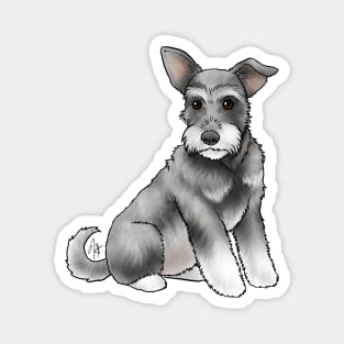 Dog - Miniature Schnauzer - Salt and Pepper Natural Magnet