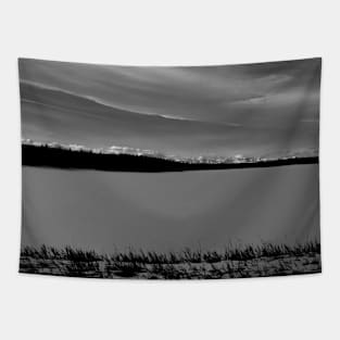 Winter scene towards the mountains in black and white Tapestry