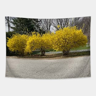 Forsythia Tapestry