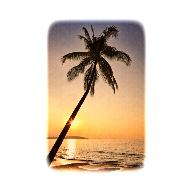 Tropical Palm And Beach Paradise Sunset Image With A Retro Effect Paradise T Shirt Teepublic