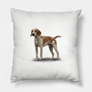 The Beagle Pillow