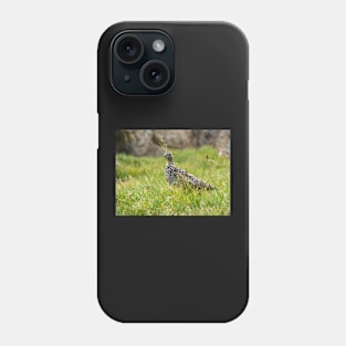 Rock Ptarmigan Phone Case