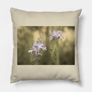 Veronica flowers in sepia tone Pillow