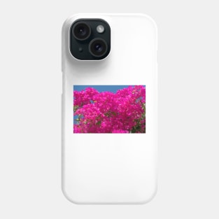 Bright pink bougainvillea flowers and vine Phone Case