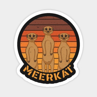 Meerkat Mongoose Kalahari Desert Sunset Safari Africa Magnet