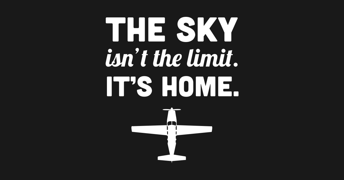 Home Funny Airplane Pilot Quote Pilot TShirt TeePublic