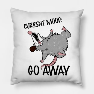 Current Mood: Playing Possum Pillow