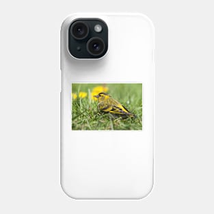 Male Siskin sat in grass photo Phone Case