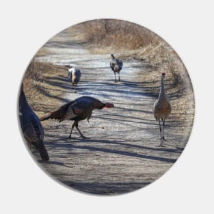 Turkey and Sandhill Crane Pin