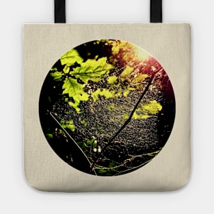 Spiderweb in the Forest Tote