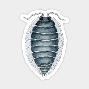 Porcellio werneri Isopod Magnet