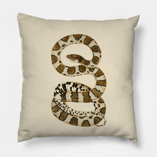 serpent,cobra,reptile,viper,venom,lizard,rattlesnake,king cobra,dragon,hydra,poison,venomous,plumber's snake,pythonidae,pythons,auger,python,squamata,serpentine,worm,big,ophidian,rattlesnakes,medusa,snakebite Pillow by vabontchi