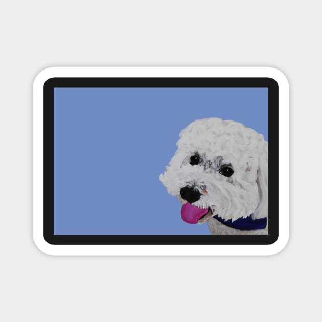 Finn the Bichon Frise Magnet by AmandaAAnthony