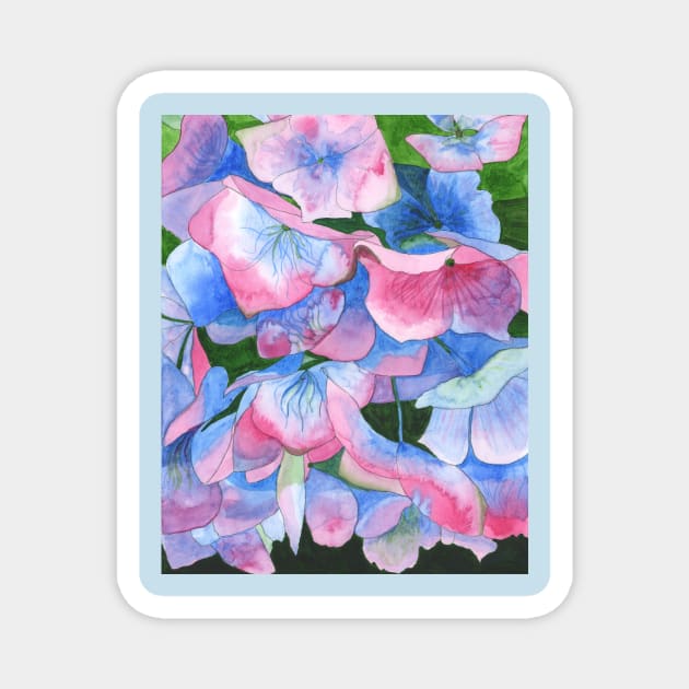 Pink and blue hydrangea watercolour painting Magnet by esvb