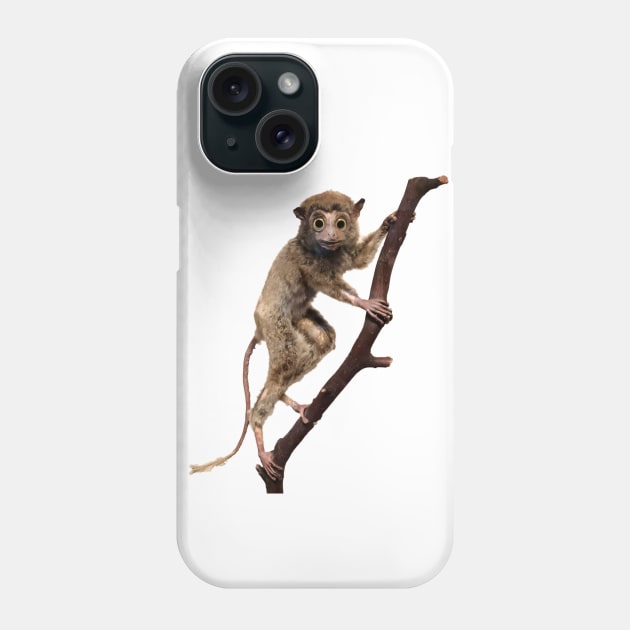 Funny Taxidermy Stuffed Animal Lemur Primate Phone Case by k8creates