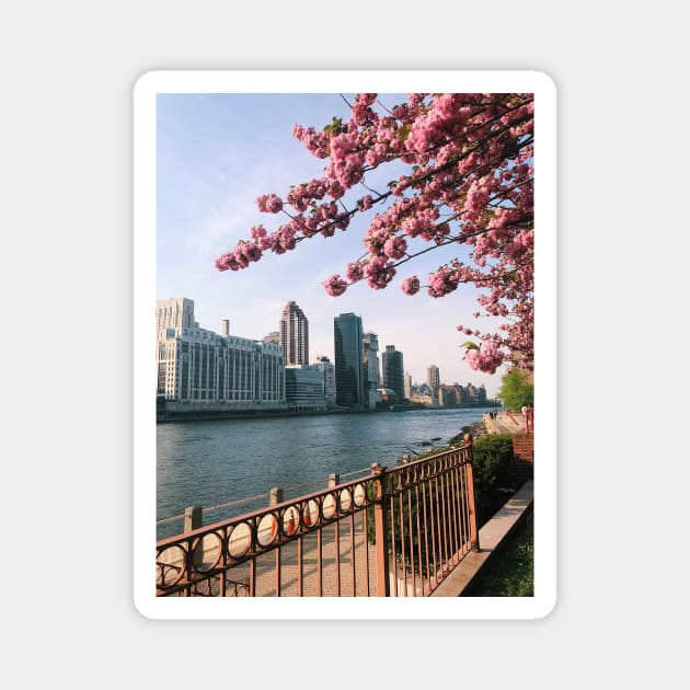 Roosevelt Island NYC Cherry Blossoms Magnet by offdutyplaces