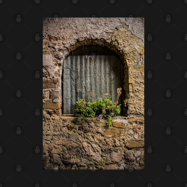 Window in Poffabro, North East Italy by jojobob