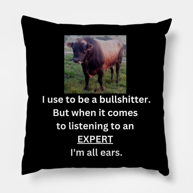 Bull thats all ears Pillow by chiefOP