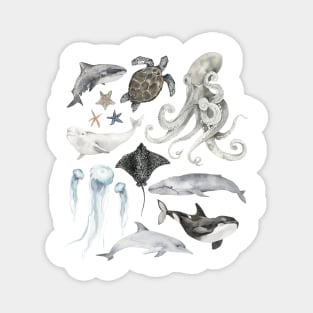 Marine Life Watercolor Ocean Animals Magnet