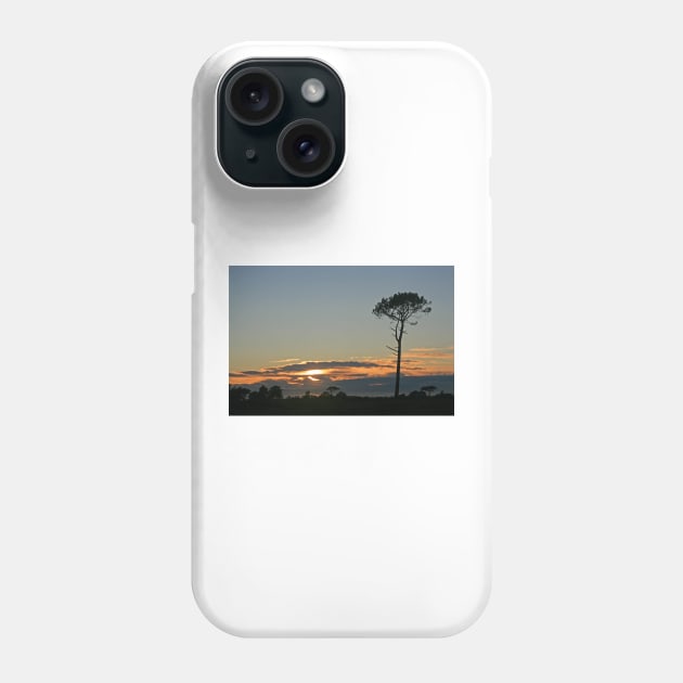 Tree Silhouette, Canford Heath, June 2020 Phone Case by RedHillDigital