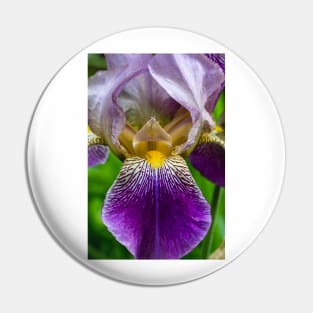 Garden Iris 4 Pin